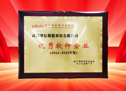 喜讯丨DB真人旗舰 DB数据获评2024~2025年度武汉市软件行业&ldquo;优秀企业&rdquo;、&ldquo;优秀工作者&rdquo;荣誉称号！